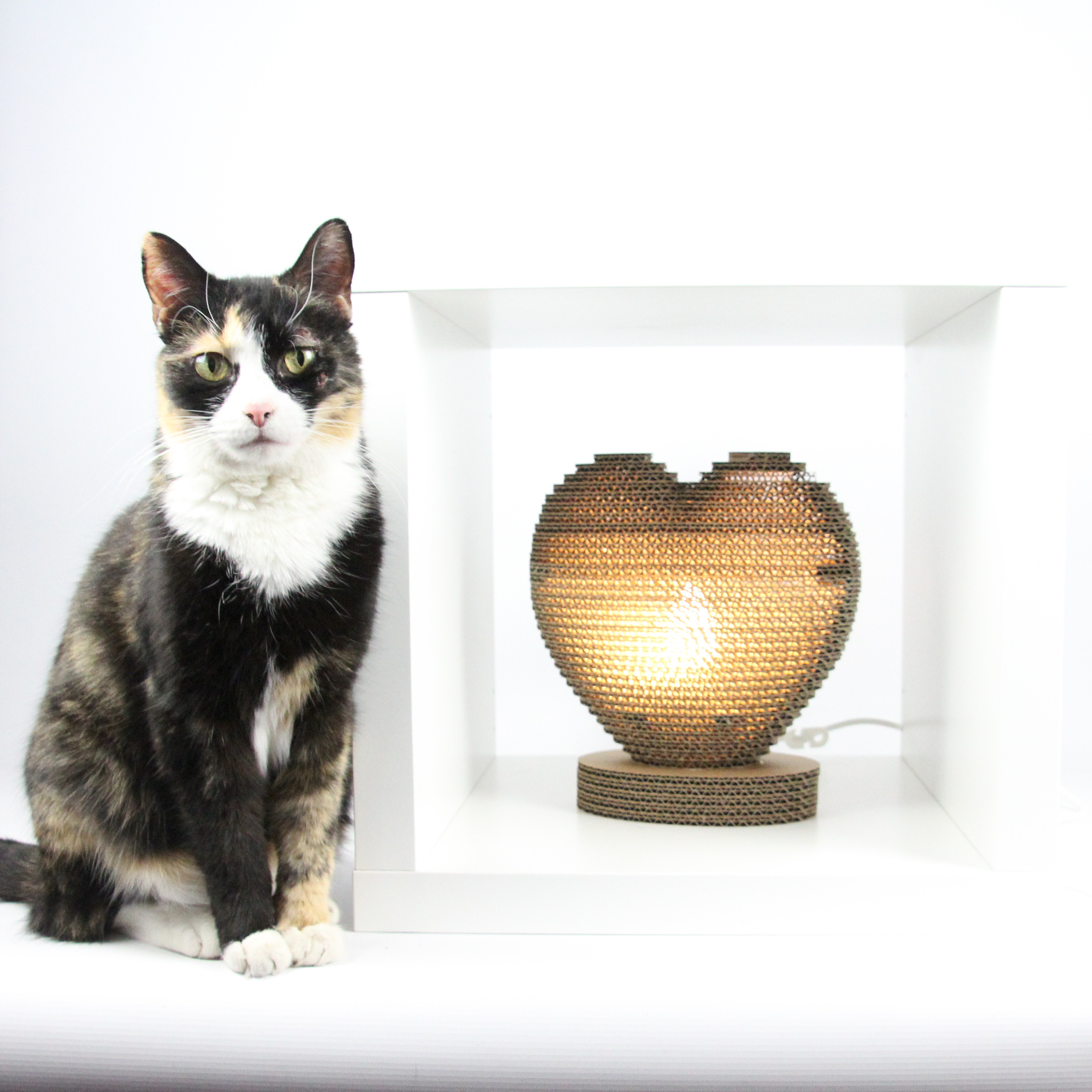 Wellpapplampe Herz