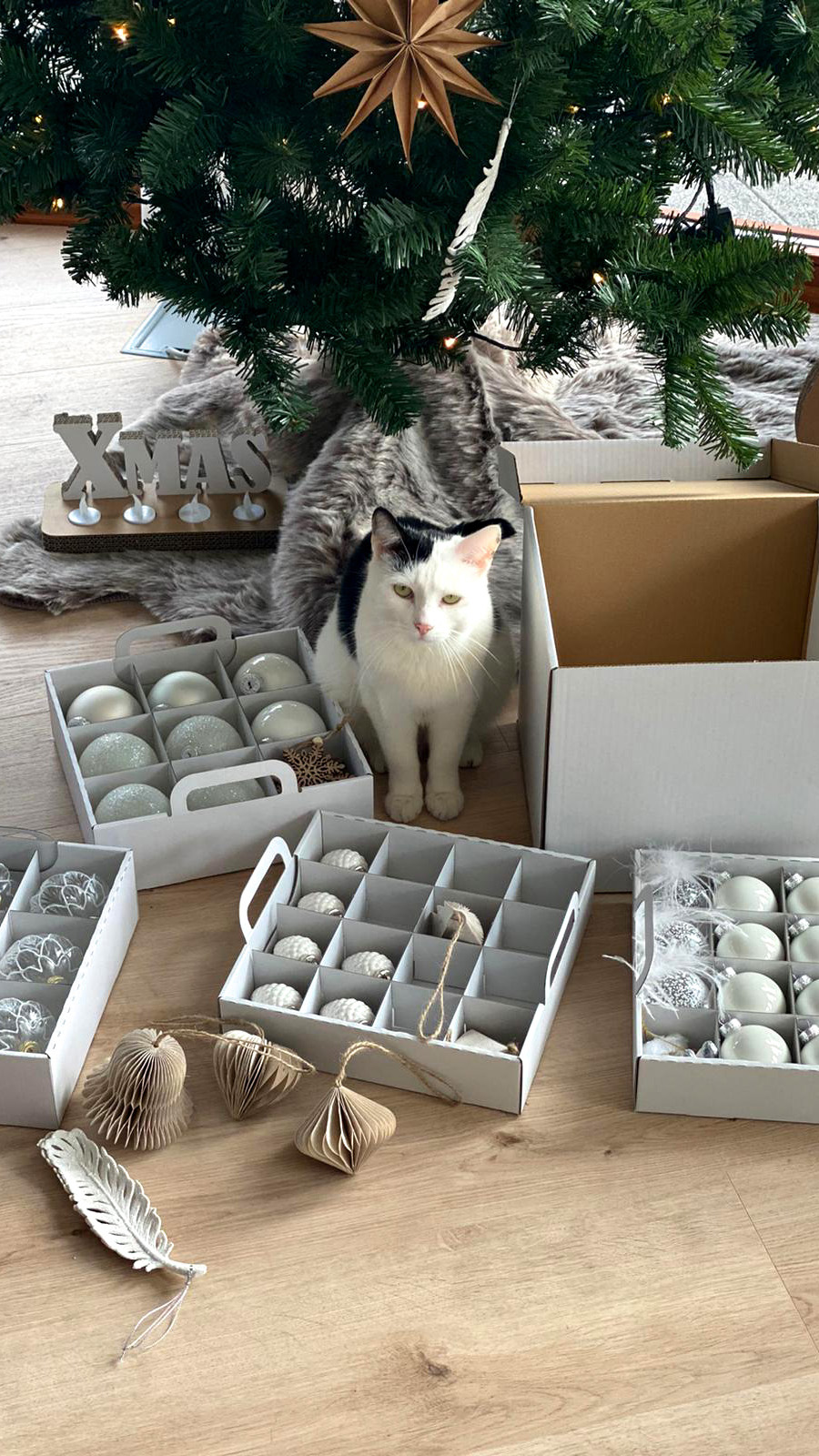 Weihnachtsdeko und Weihnachtskugel optimal aufbewahren Weihnachsdekoration verstauen