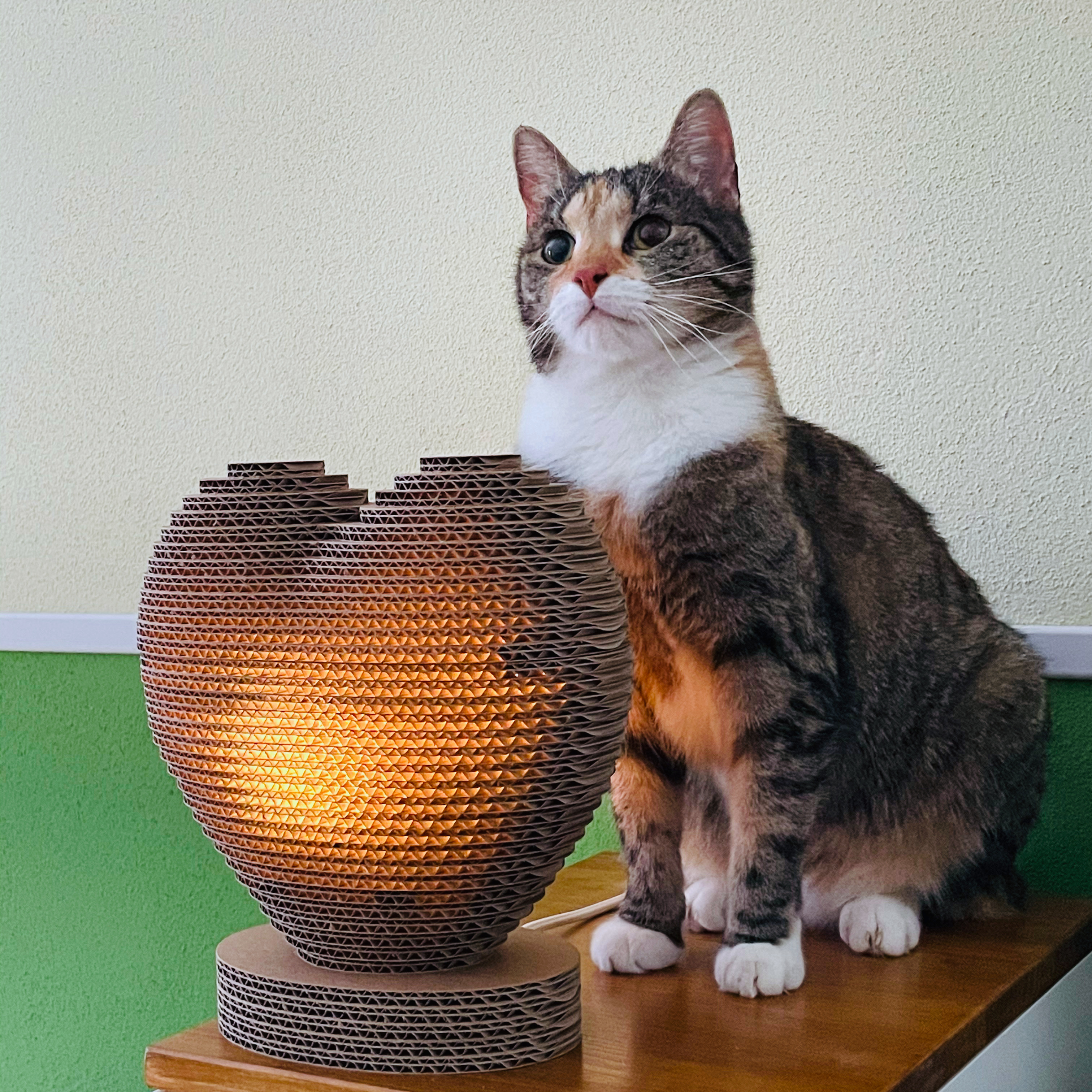 Wellpapplampe Herz
